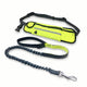 Handsfree Bungee Dog Leash - Brite