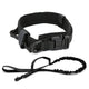 Durable K-9 Collar - Brite