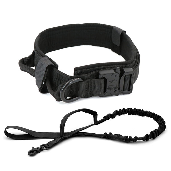 Durable K-9 Collar - Brite