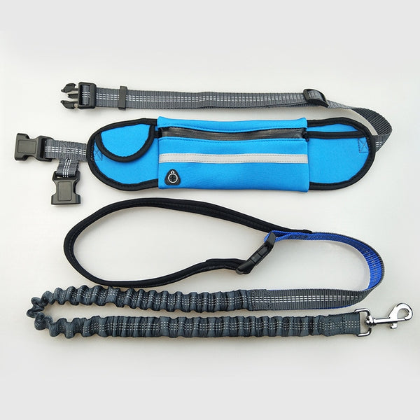 Handsfree Bungee Dog Leash - Brite