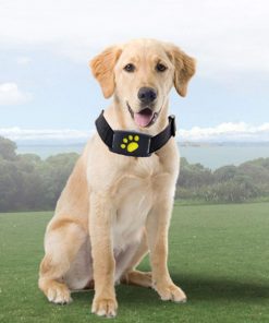 GPS Dog Collar - Brite