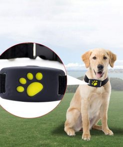 GPS Dog Collar - Brite