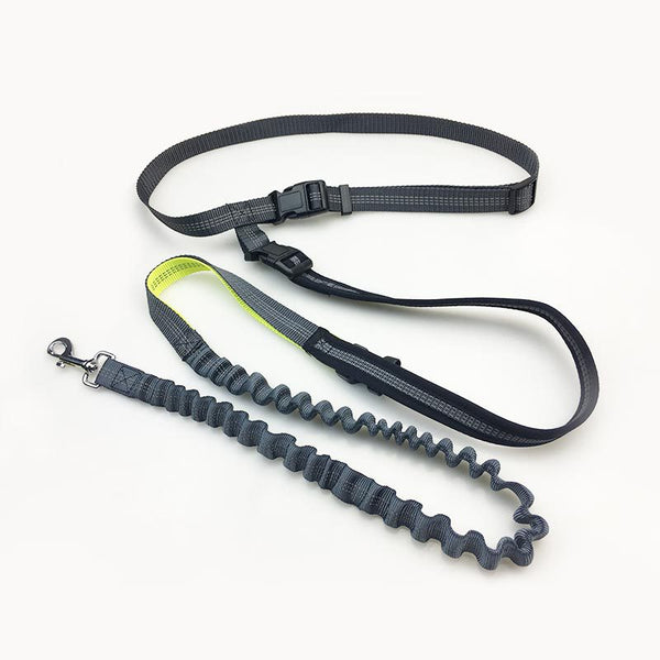 Handsfree Bungee Dog Leash - Brite