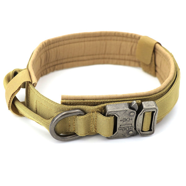 Durable K-9 Collar - Brite