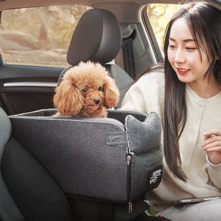 Central Control Nonslip Pet Carriers - Brite