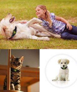 GPS Dog Collar - Brite
