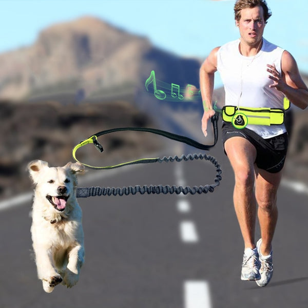 Handsfree Bungee Dog Leash - Brite