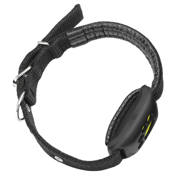 GPS Dog Collar - Brite