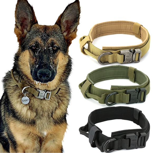 Durable K-9 Collar - Brite